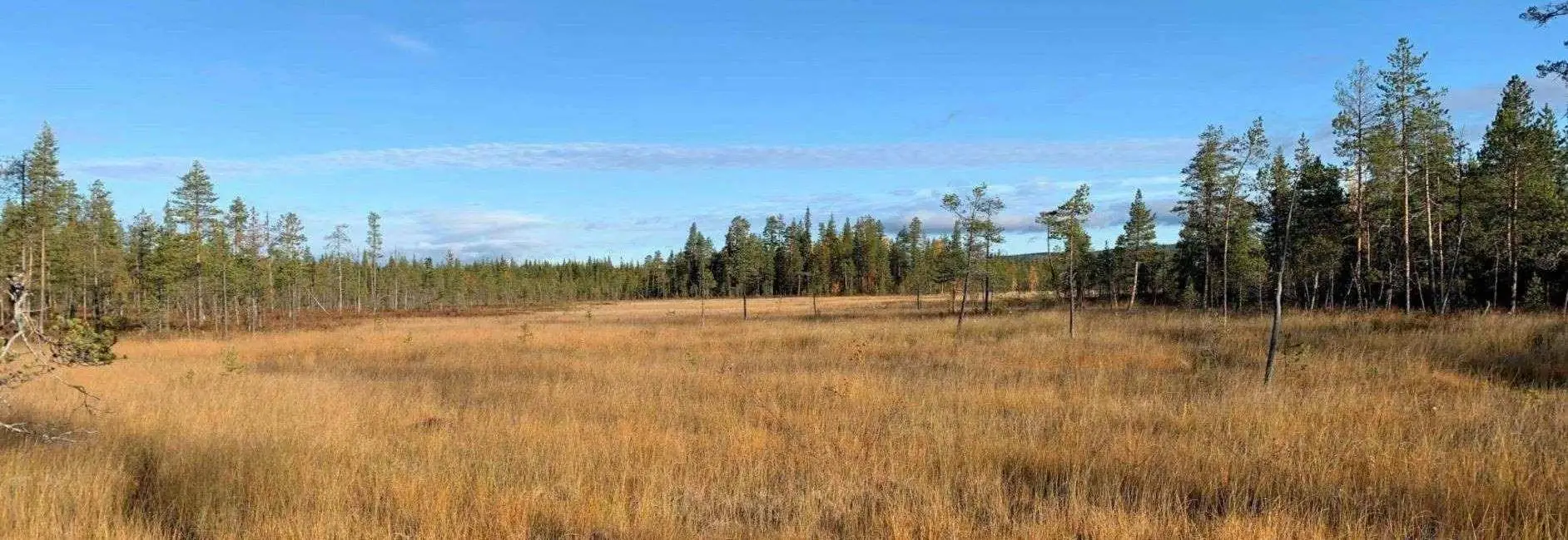 Naturlandskap i Jokkmokks kommun