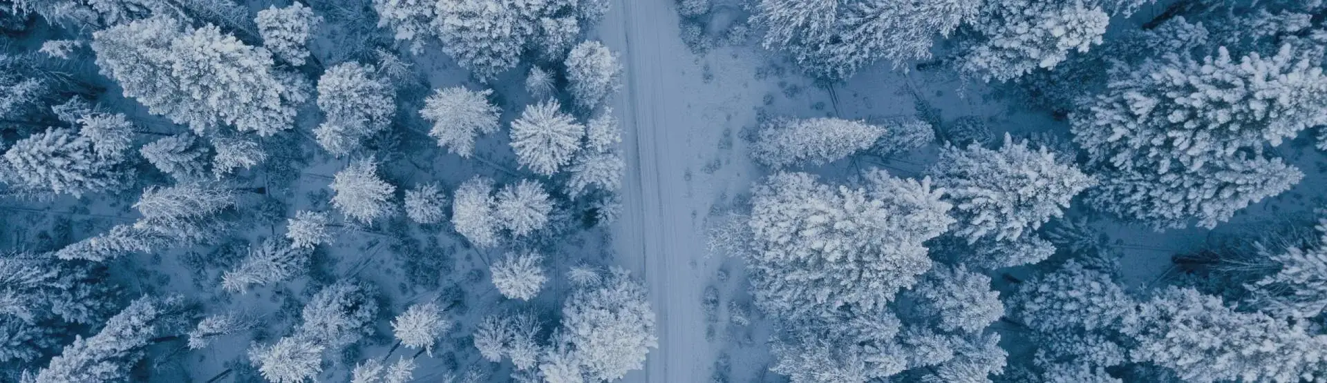 Vinterväg genom skogen i Jokkmokks kommun sedd uppifrån